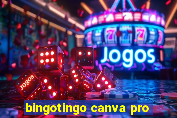 bingotingo canva pro